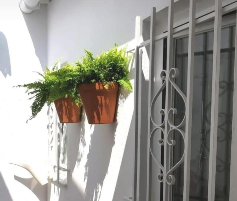 La Marieta, Casita Acogedora Y Centrica Villa Castilleja de la Cuesta Kültér fotó